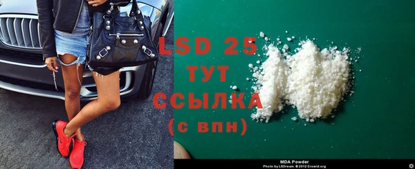 ГАЛЛЮЦИНОГЕННЫЕ ГРИБЫ Липки