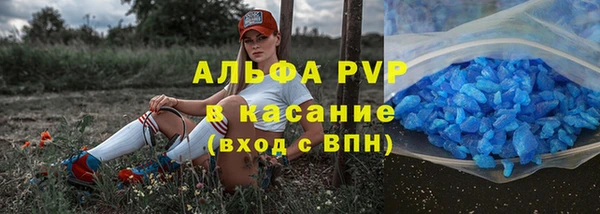 ГАЛЛЮЦИНОГЕННЫЕ ГРИБЫ Липки